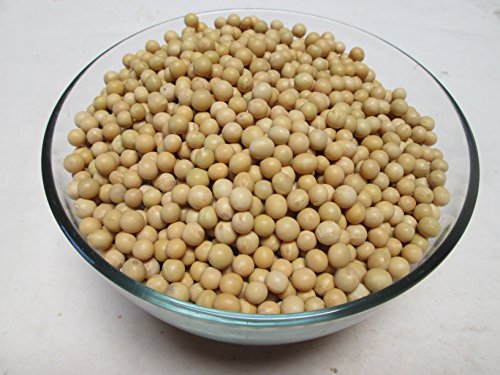 Organic Raw Soybeans, 5 lb